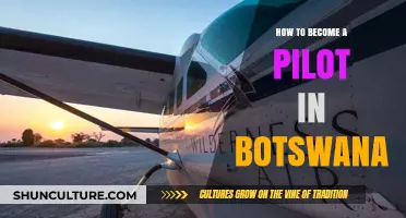 Your Guide to Becoming a Pilot in Botswana: Steps and Tips