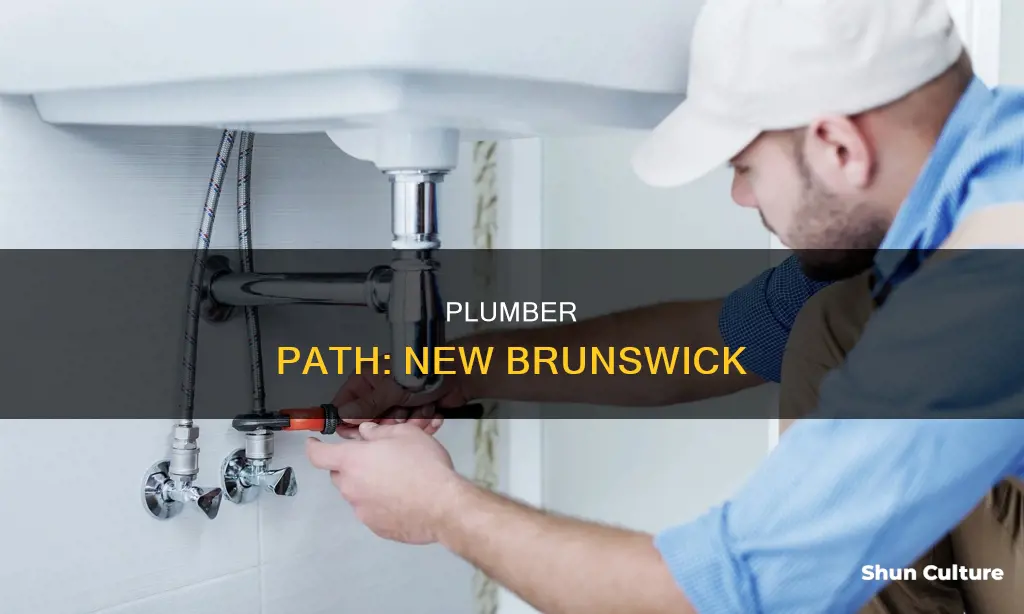 how to become a plumber in new brunswick