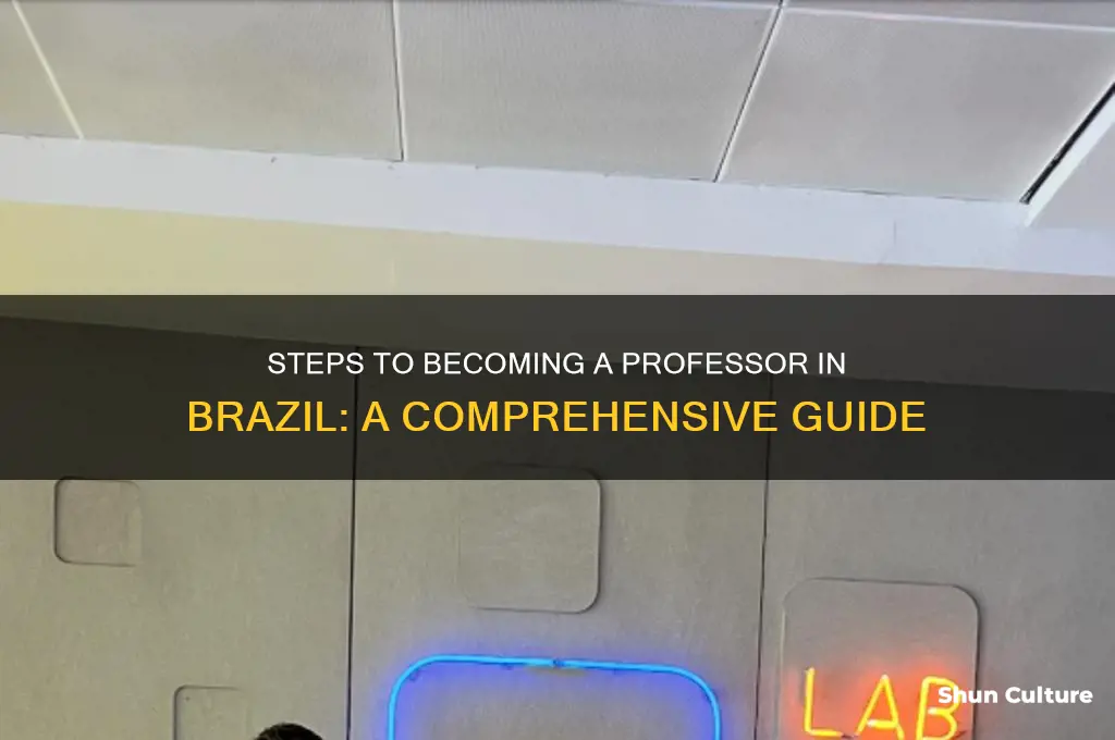 how to become a professor in brazil