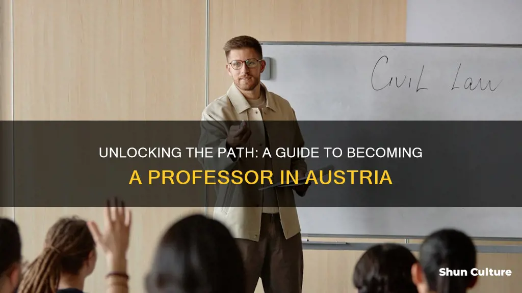 how to become a prpfessor in austria