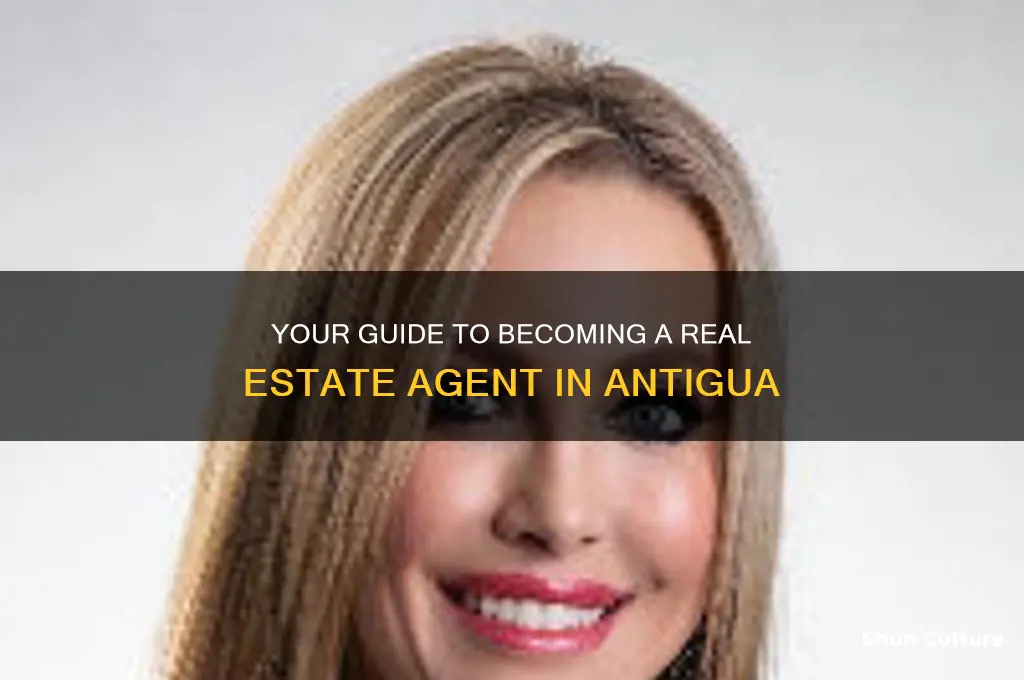 how to become a real estate agent in antigua