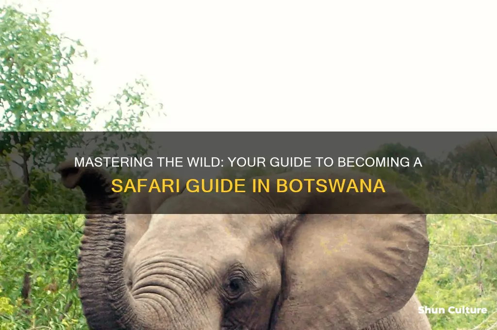 how to become a safari guide in botswana