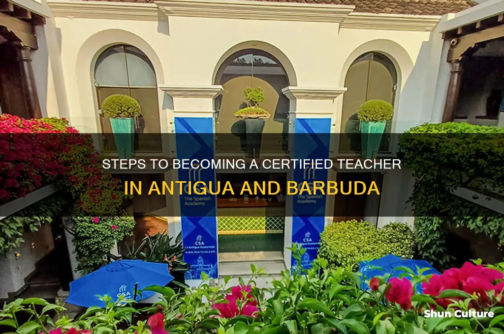 how to become a teacher in antigua
