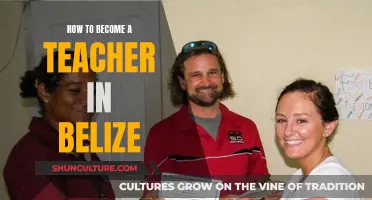 Belize's Path to Pedagogy: Unlocking the Teaching Profession