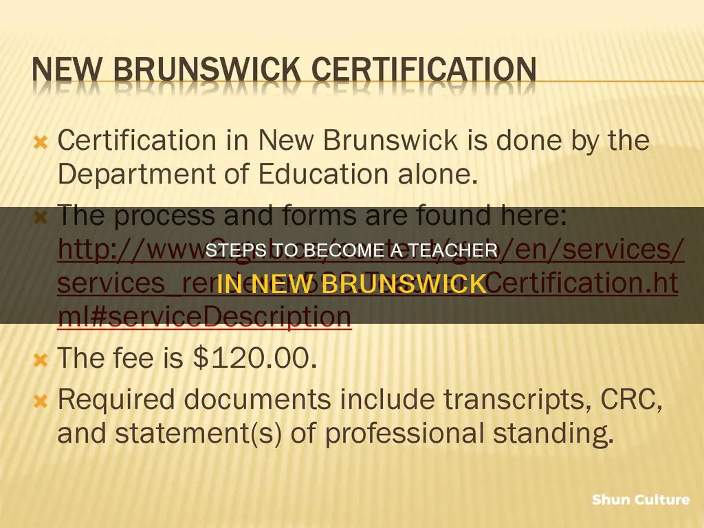 how to become a teacher in new brunswick