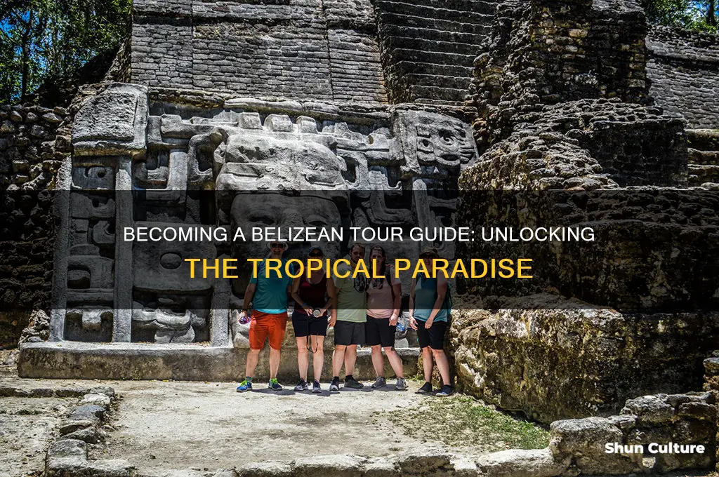 how to become a tour guide in belize