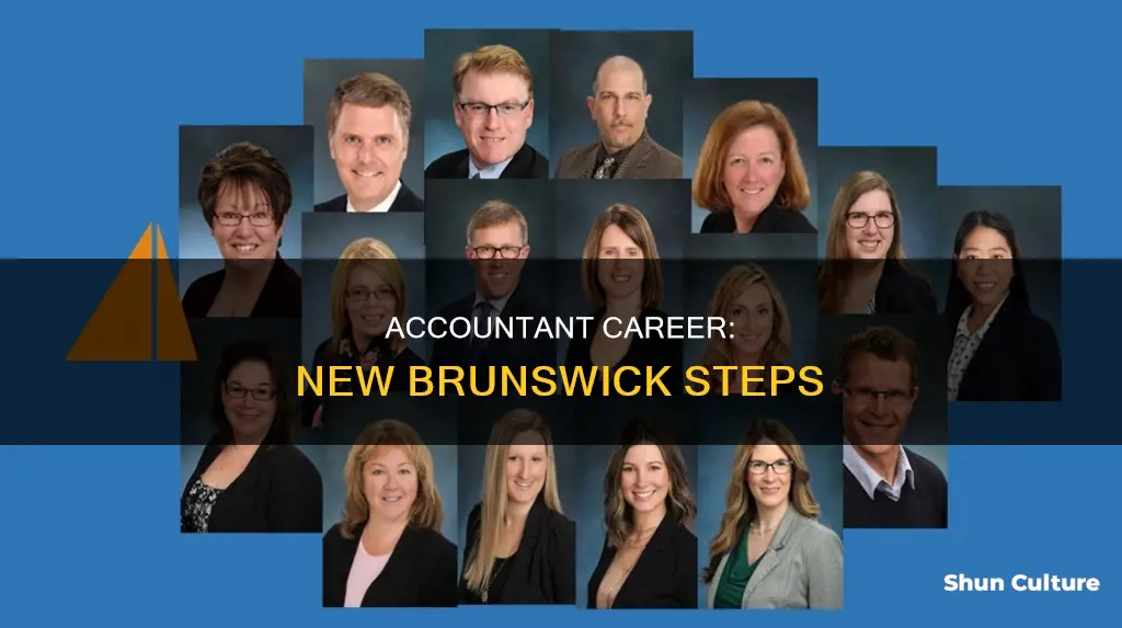 how to become an accountant in new brunswick