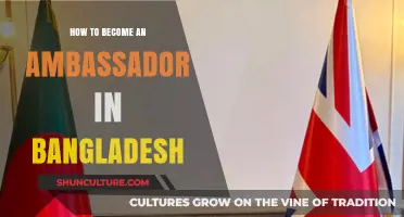 Steps to Becoming a Successful Ambassador in Bangladesh