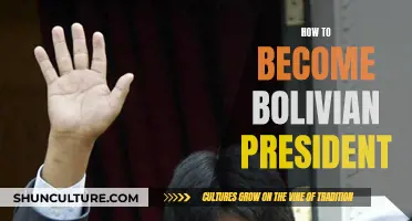 The Path to Becoming Bolivia's President