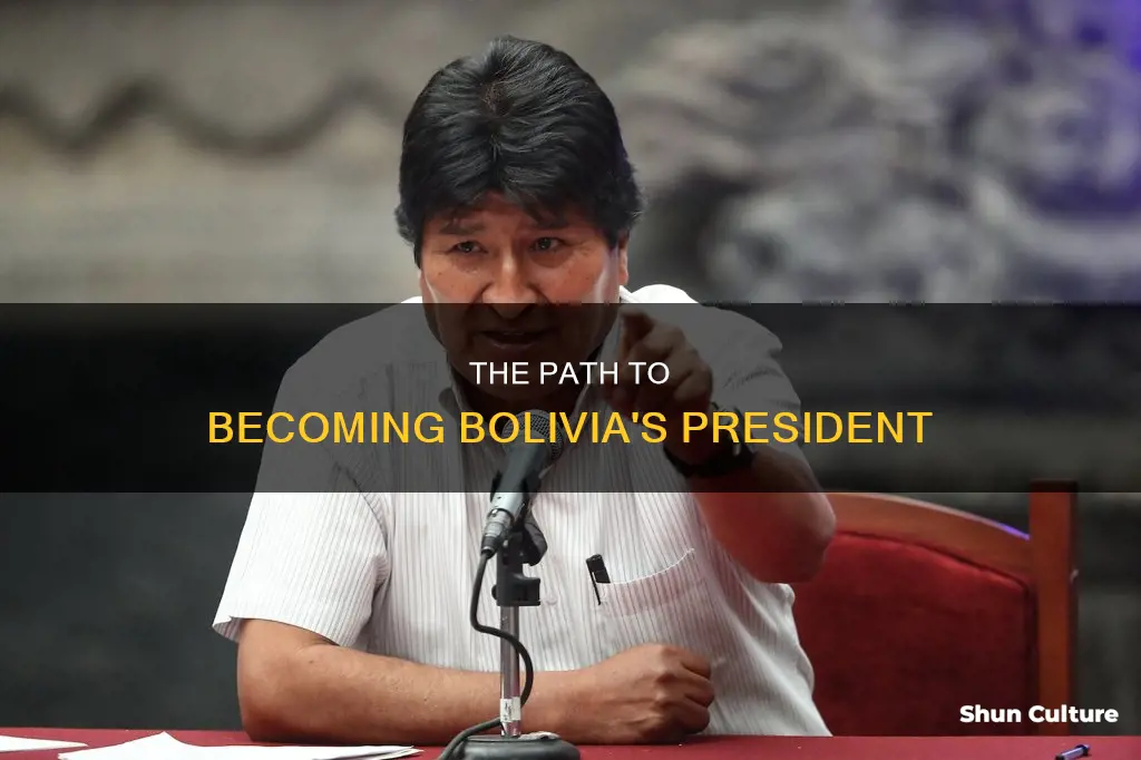 how to become bolivian president