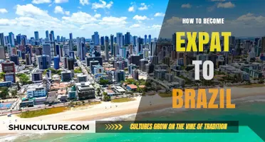 Your Guide to Becoming an Expat in Brazil: Tips and Steps