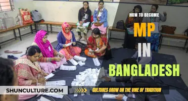 A Step-by-Step Guide to Becoming a Member of Parliament in Bangladesh