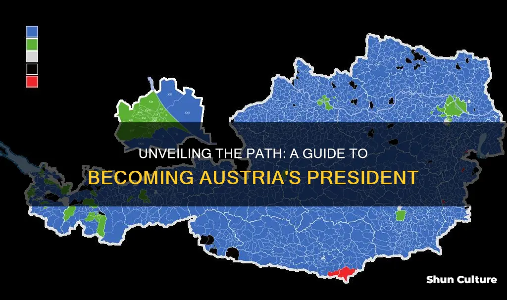 how to become president of austria