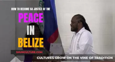 Becoming a Justice of the Peace: Navigating the Belizean Legal System