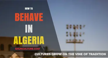 Cultural Etiquette Guide: Navigating Social Norms in Algeria with Respect