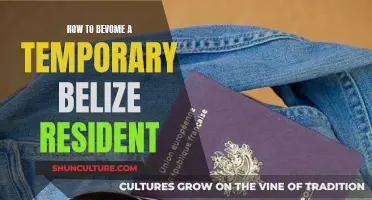 Belizean Breeze: Navigating the Path to Temporary Residency