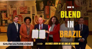Mastering Brazilian Culture: Tips to Blend In Like a Local