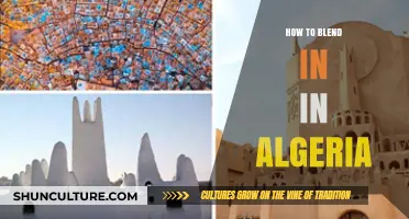 Mastering Algerian Culture: Tips to Blend In Seamlessly and Connect Locally