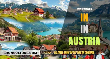 Mastering the Art of Integration: A Guide to Blending In Austria