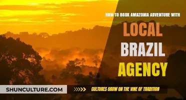 Book Your Amazonia Adventure: Partnering with Local Brazilian Agencies