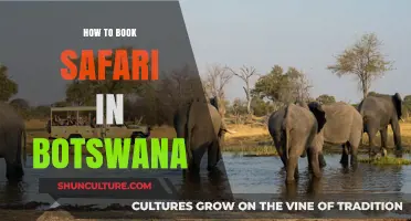 Ultimate Guide to Booking Your Dream Botswana Safari Adventure