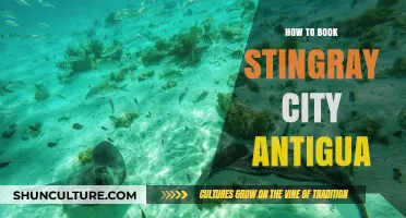 Explore Stingray City Antigua: Your Ultimate Booking Guide