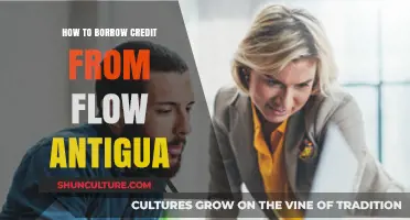 How to Easily Borrow Credit from Flow Antigua: A Step-by-Step Guide