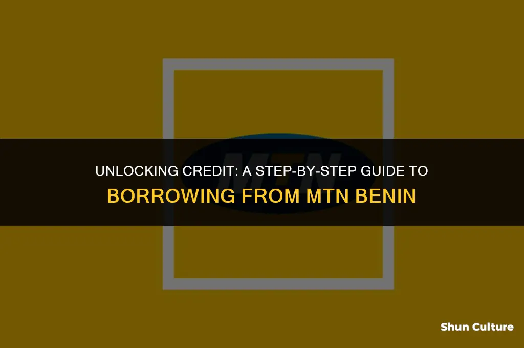 how to borrow credit from mtn benin