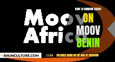 Unlocking Financial Flexibility: A Guide to Borrowing Credit on Moov Benin