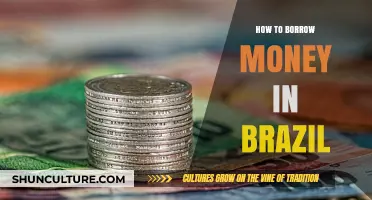 Borrowing Money in Brazil: A Comprehensive Guide to Loans and Credit