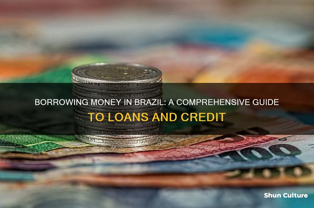 how to borrow money in brazil