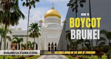 Brunei Boycott: Strategies to Take Action and Make Change