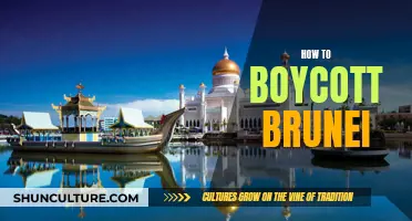 Boycott Brunei: Strategies to Oppose the Nation's Laws