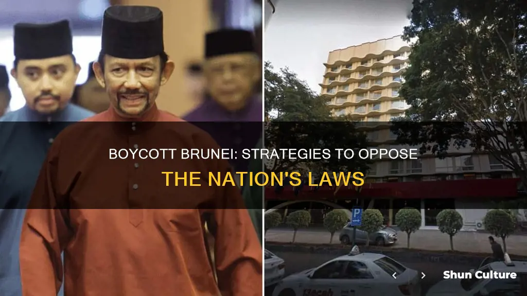 how to boycott brunei