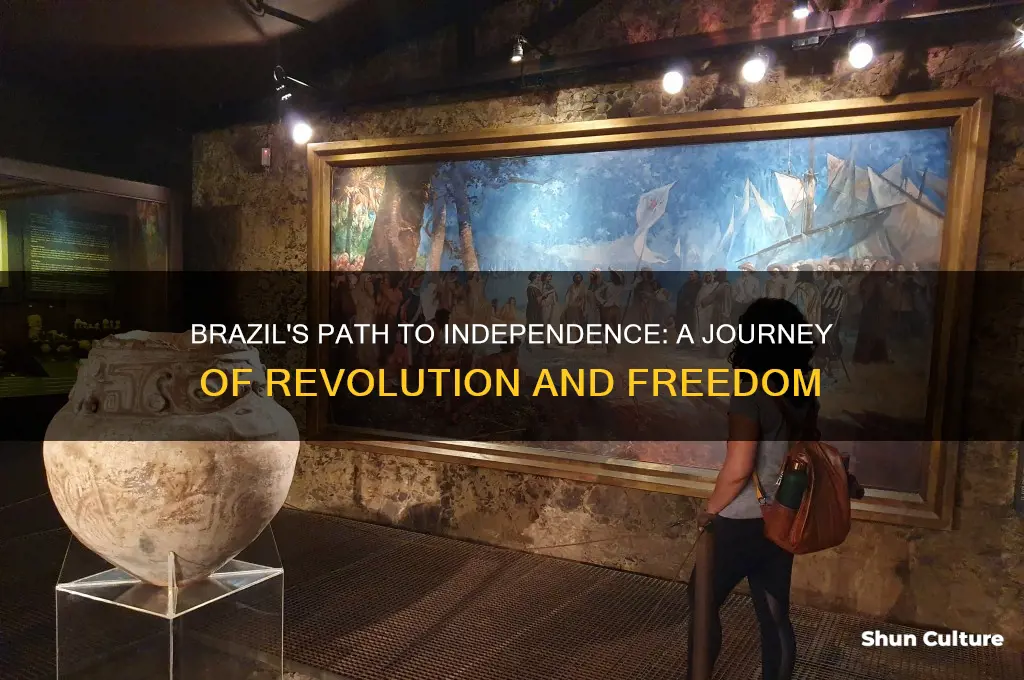 how to brazil gain independece