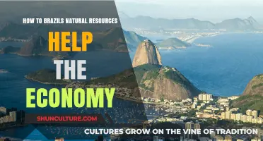 Brazil's Natural Resources: Fueling Economic Growth and Global Impact