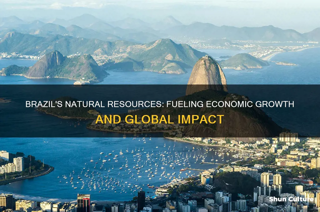 how to brazils natural resources help the economy