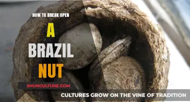 Cracking the Code: Effortless Techniques to Open Brazil Nuts
