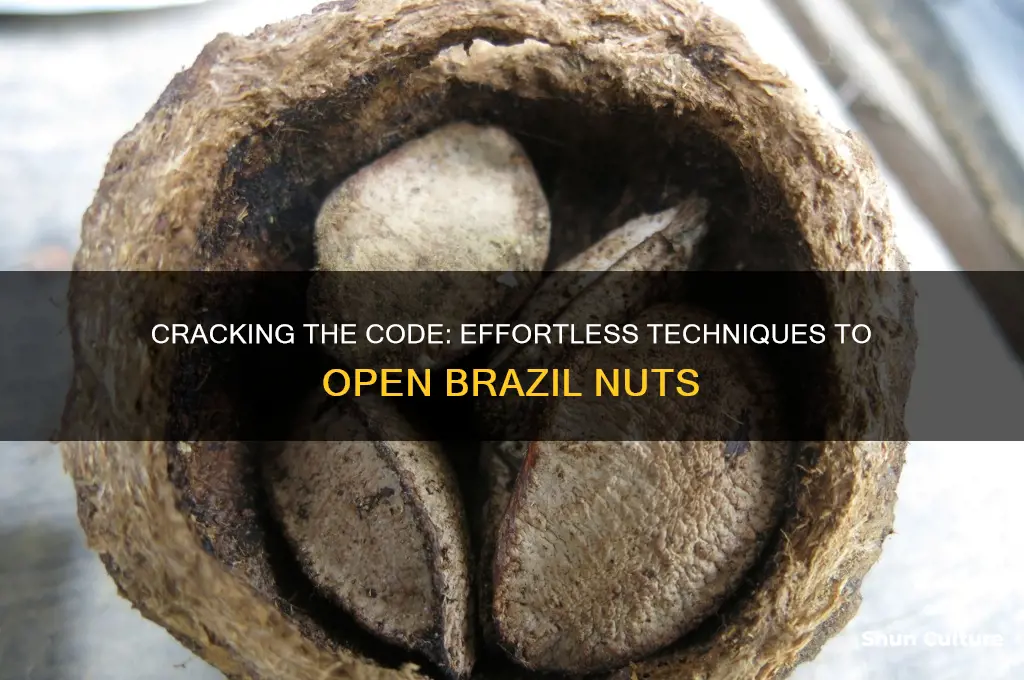 how to break open a brazil nut