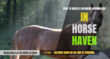 Breeding Bavarian Warmbloods: A Guide for Horse Haven Players