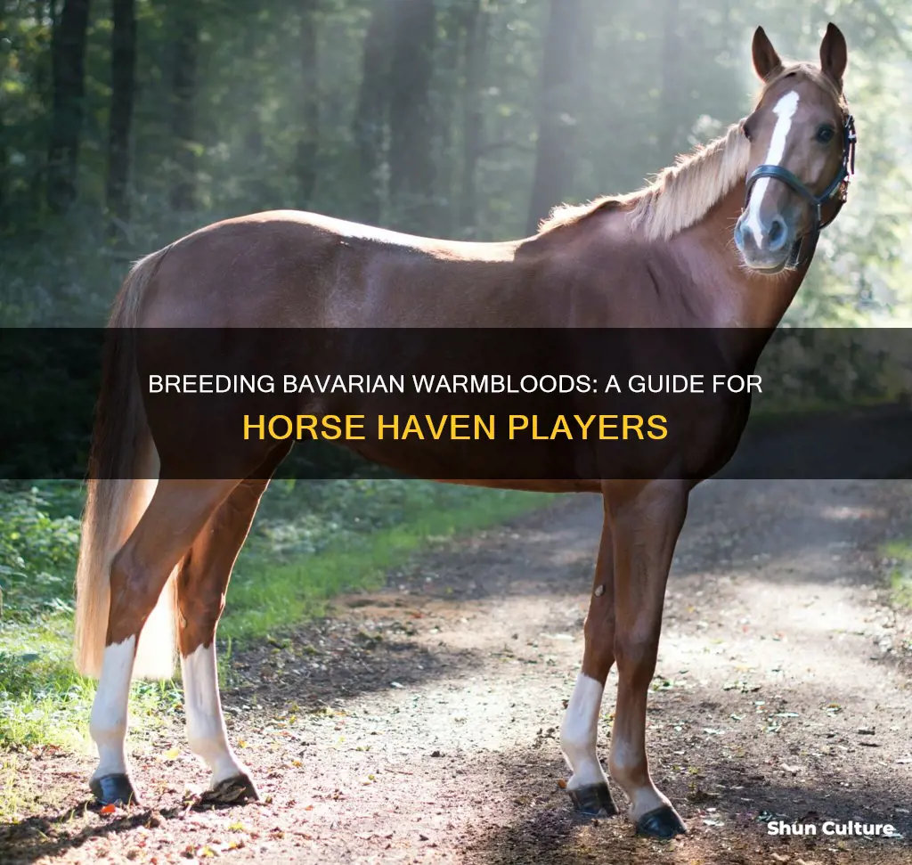 how to breed a bavarian warmblood in horse haven