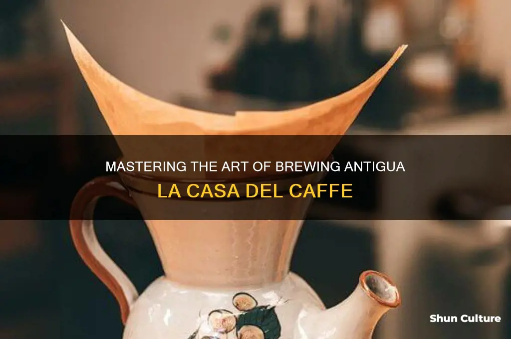 how to brew antigua la casa del caffe