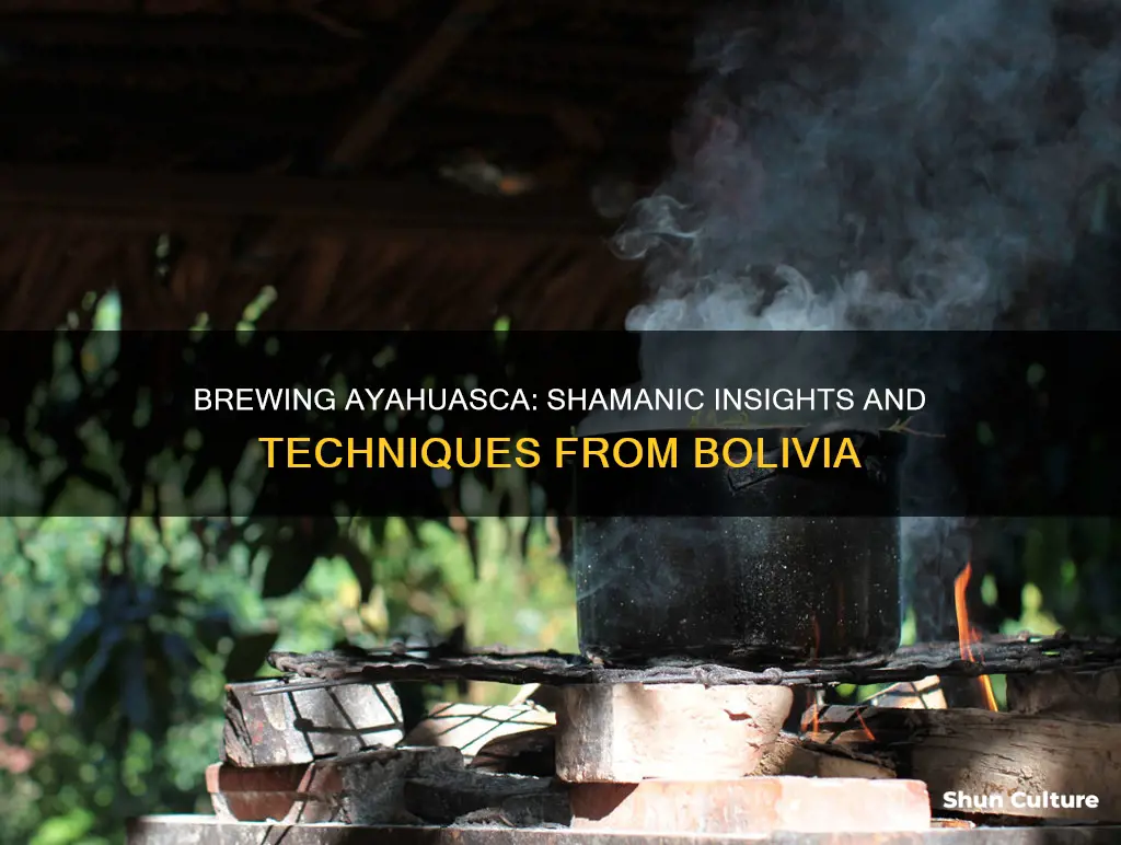 how to brew ayahuasca bolivia shamanism