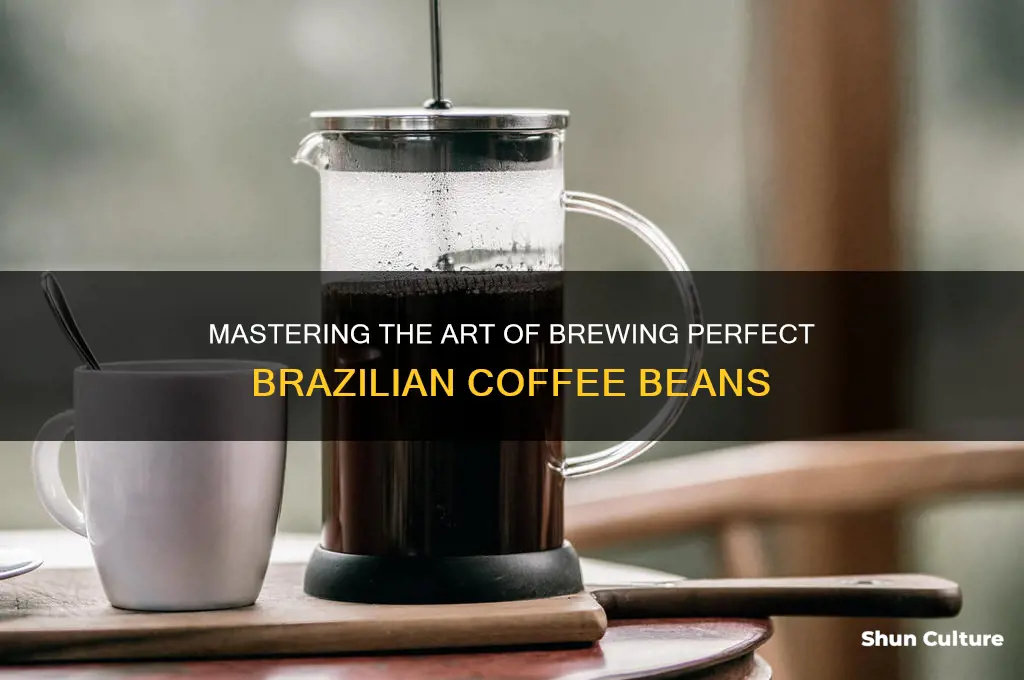 how to brew brazil beans