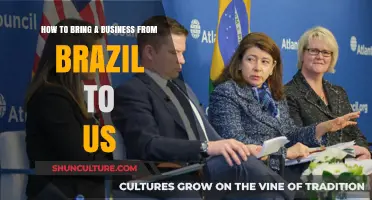 Expanding Horizons: A Guide to Launching Your Brazilian Business in the US
