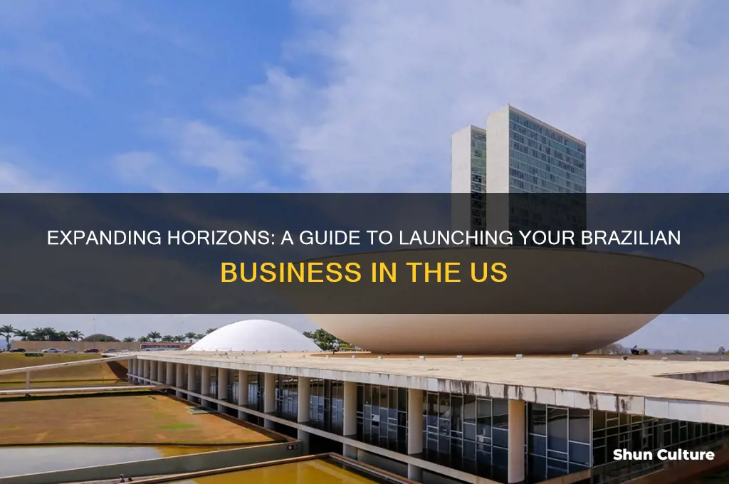 how to bring a business from brazil to us
