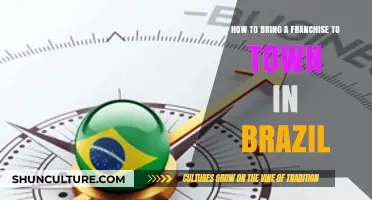Bringing a Franchise to Brazil: A Step-by-Step Guide for Success