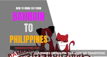 Bringing Your Cat from Bahrain to the Philippines: A Guide