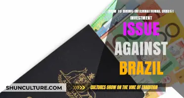 Navigating Legal Strategies to Challenge Brazil's International Direct Investment Policies