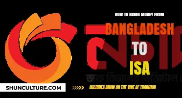 Transferring Funds from Bangladesh to ISA: A Comprehensive Guide